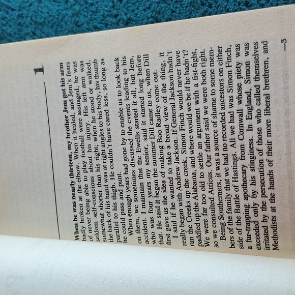 To Kill A mockingbird book - Picture 4 of 4